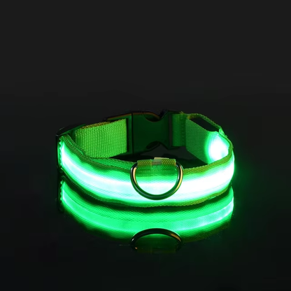 Collar luminoso LED para perros pequeños y medianos, ajustable, con brillos intermitentes para paseos o actividades nocturnas